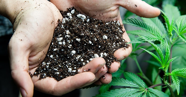 Marijuana fertilizer deals