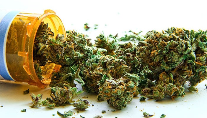 medical marijuana waste needing disposal services