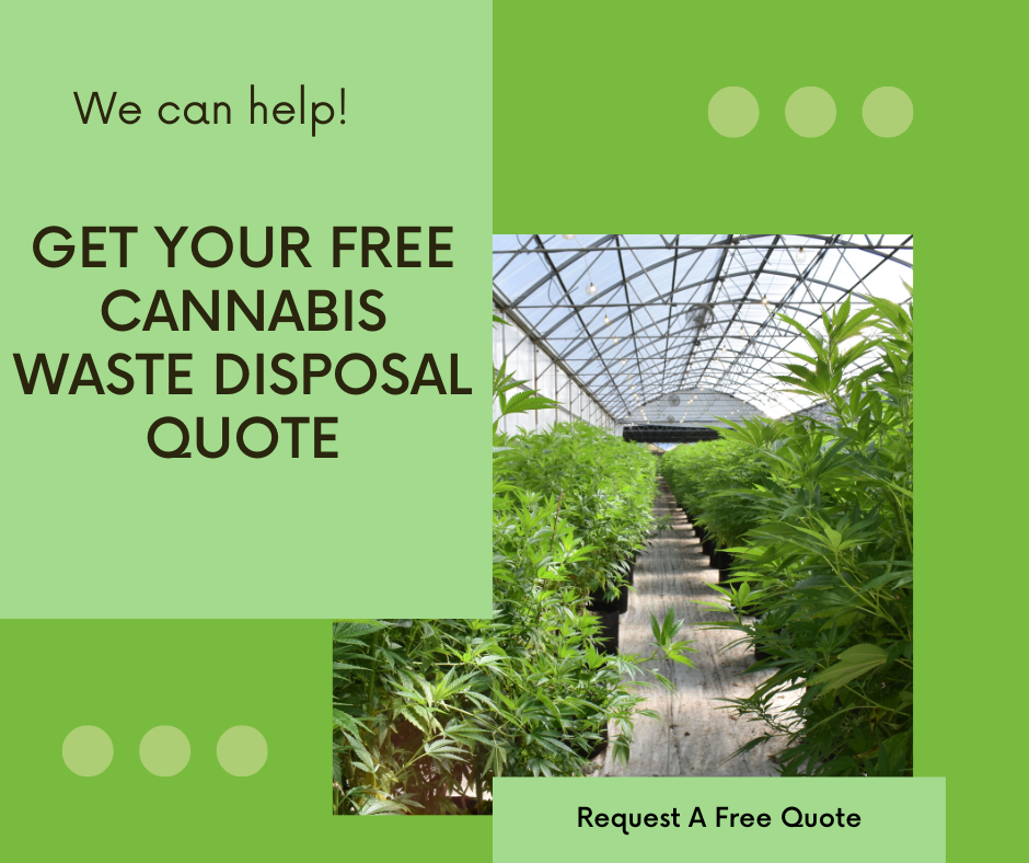 cannabis legalization