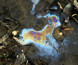 what is a dispensary